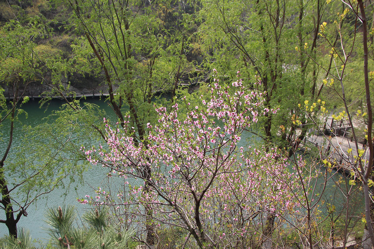 2021，濟(jì)南辰達(dá)試驗(yàn)機(jī)制造有限公司九如山一日游！